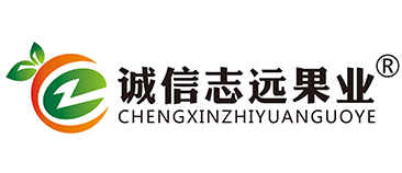 chengxinzhiyuan2.png